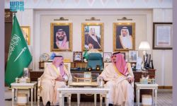 الأمير عبدالعزيز بن سعود يلتقي أمير منطقة القصيم