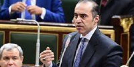 المستشار محمود فوزي: المصريون أظهروا معدنهم الأصيل إزاء التهديدات غير المسبوقة التي تمر بها الدولة