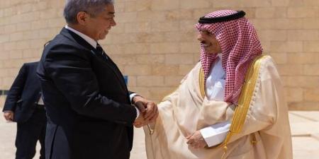 السعودية واليابان تبحثان سبل تعزيز التنسيق والتعاون في مختلف المجالات