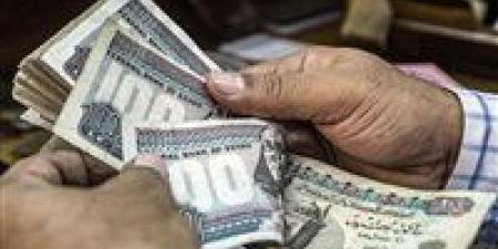 بالحد الأدنى للأجور...موعد صرف مرتبات شهر مايو 2025