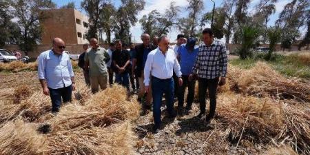 محافظ أسيوط يشارك العمال احتفالات عيدهم ويتفقد حصاد 40 فدان قمح
