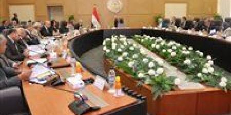 خطة جديدة لقطاع الكهرباء| فصل «المصرية للنقل» عن «القابضة» يفتح أفقًا جديدًا للاستثمار في 2025.. ما القصة؟