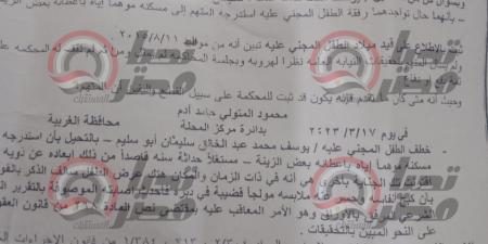 كدمة وشرخ.. ننشر صورة من الحكم الصادر على المتهم بهتك عرض الطفل 'يوسف' بالغربية