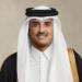 أمير قطر يبحث مع رئيس الوزراء الباكستاني العلاقات الثنائية والمستجدات الإقليمية والدولية