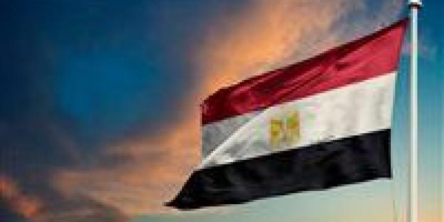 «مصر تتحرك لتأمين أبناءها».. الخارجية تعلق على واقعة احتجاز طلبة مصريين بقرغيزستان
