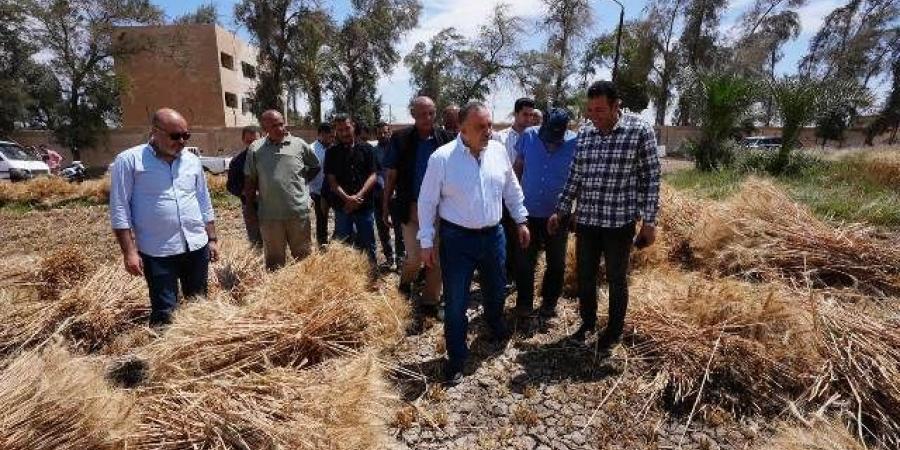 محافظ أسيوط يشارك العمال احتفالات عيدهم ويتفقد حصاد 40 فدان قمح