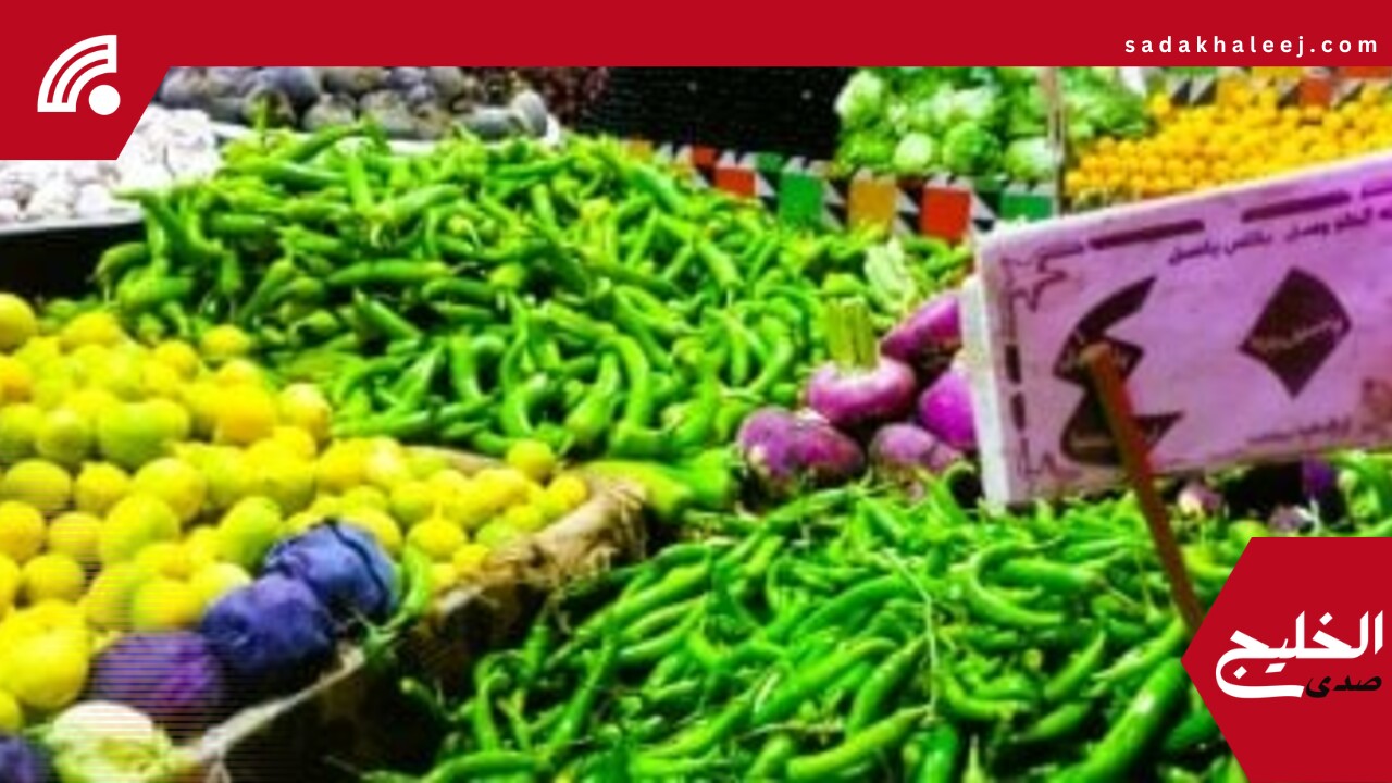 سعر الخضار والفواكه اليوم الثلاثاء 20مايو 2025 بالمنوفية.. الطماطم 12جنيها – صدى الخليج
