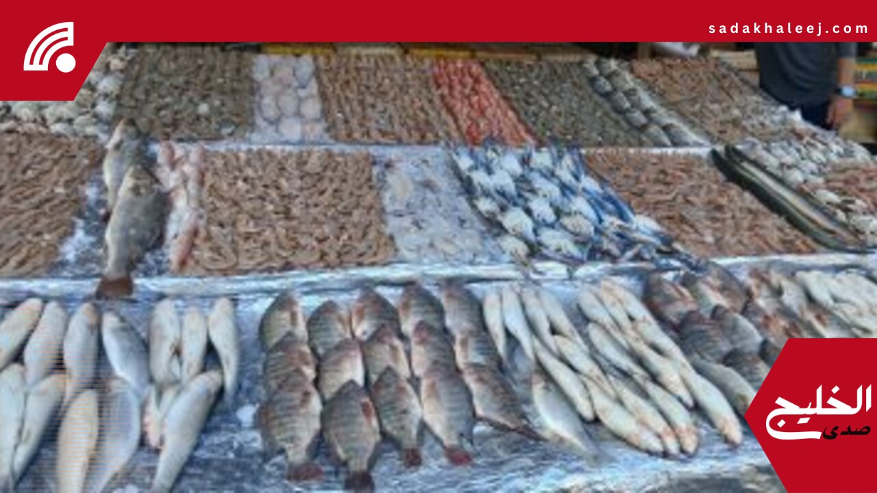 أسعار الأسماك بأسواق مطروح اليوم الأحد 25–5- 2025.. المرجان بـ 140 جنيها – صدى الخليج