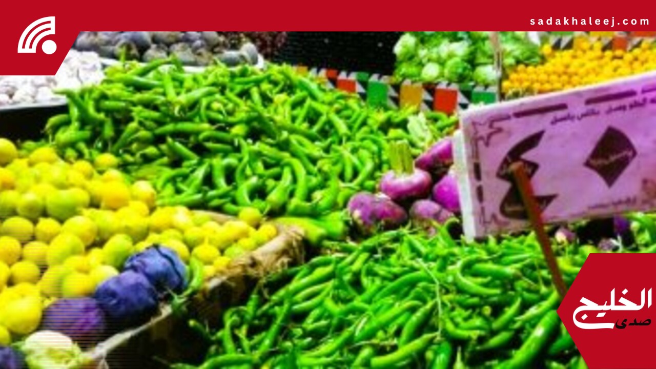 سعر الخضار والفواكه اليوم الأربعاء 28 مايو 2025 بالمنوفية.. الطماطم 12جنيها – صدى الخليج