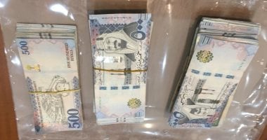 سعر الريال السعودى اليوم يسجل 13.35 جنيه للشراء – صدى الخليج