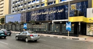 الإحصاء: 18% ارتفاعًا فى الصادرات المصرية إلى الدول العربية خلال 2024 – صدى الخليج