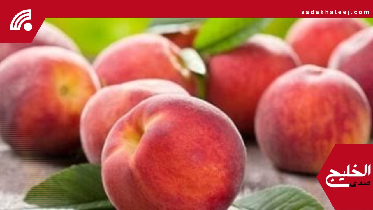 أسعار الفاكهة بأسواق محافظة مطروح اليوم السبت 24 -5- 2025.. الخوخ بـ 30 جنيه – صدى الخليج