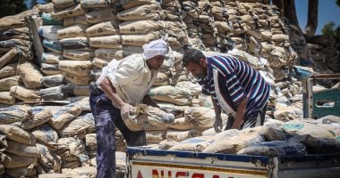 سعر الأسمنت اليوم الأحد 18 -5 -2025 فى الأسواق – صدى الخليج