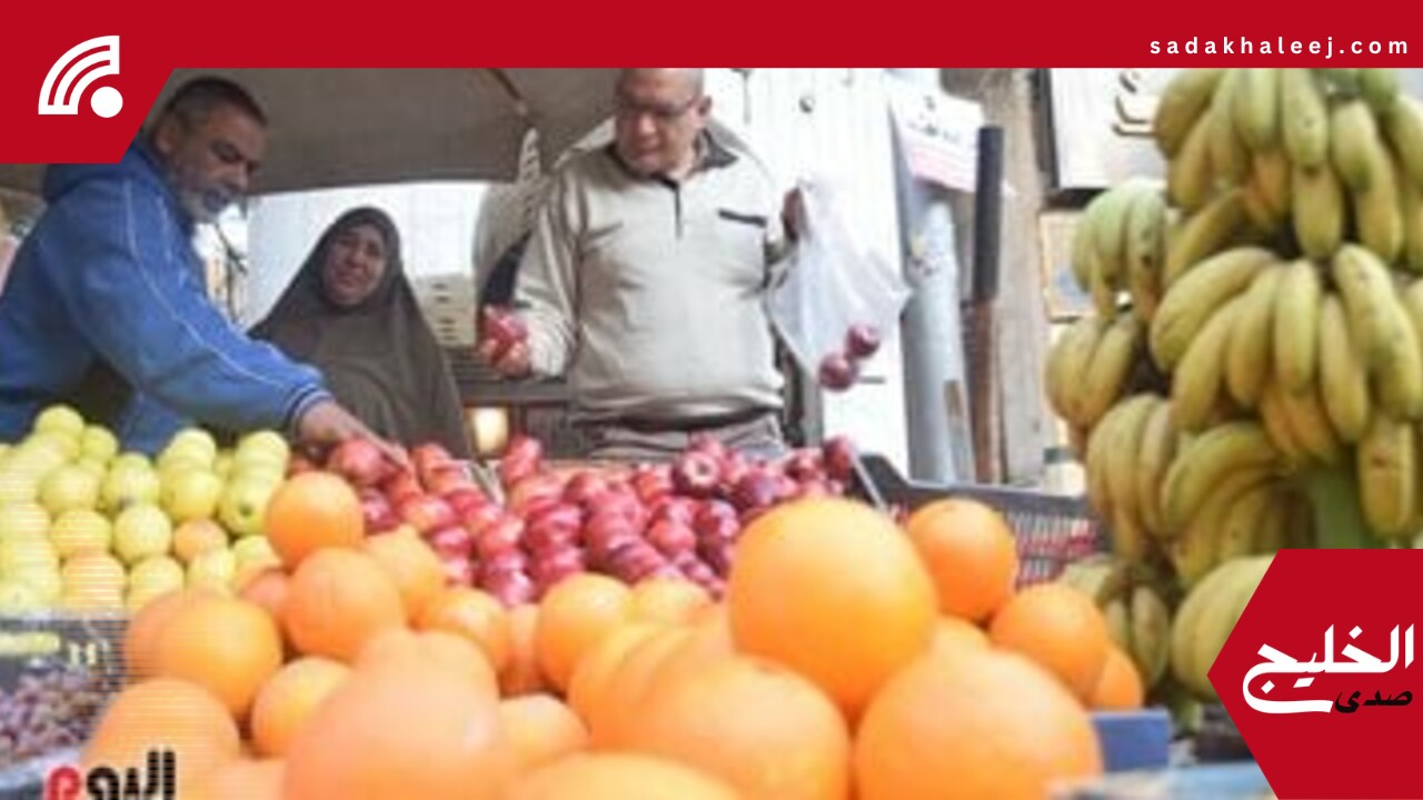 أسعار الفاكهة اليوم الثلاثاء 20-5-2025 فى أسواق القليوبية – صدى الخليج