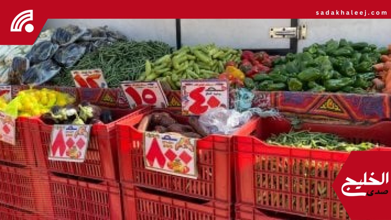 أسعار الخضراوات اليوم الاثنين 19 مايو 2025 بأسواق الإسكندرية – صدى الخليج