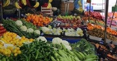 أسعار الخضروات اليوم الخميس 15-5-2025 فى الإسماعيلية –  صدى الخليج