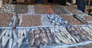أسعار الأسماك بأسواق مطروح اليوم الخميس 22-5-2025.. االمرجان بـ140 جنيها – صدى الخليج