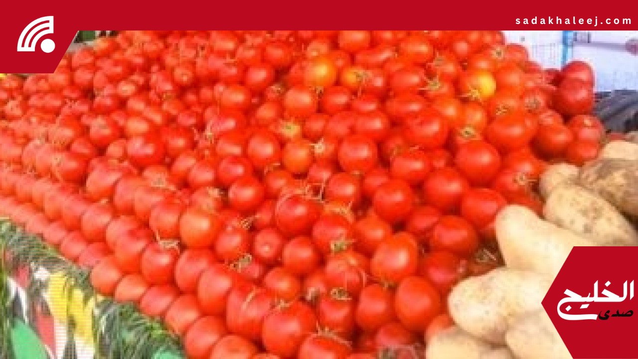 أسعار الخضراوات اليوم الاثنين 19-5-2025 بمطروح.. كيلو الطماطم بـ10 جنيهات – صدى الخليج