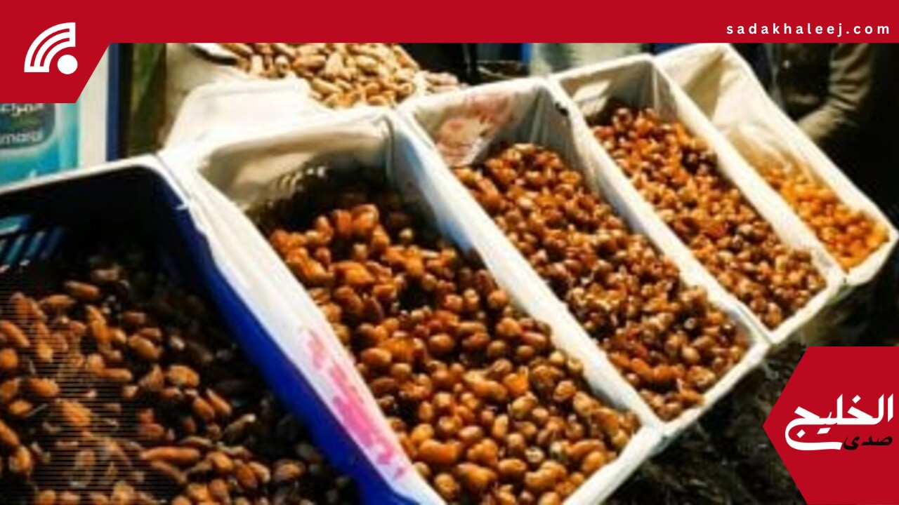 أسعار البلح السيوى وأنواع أخرى بأسواق مطروح اليوم السبت 31-5-2025 – صدى الخليج