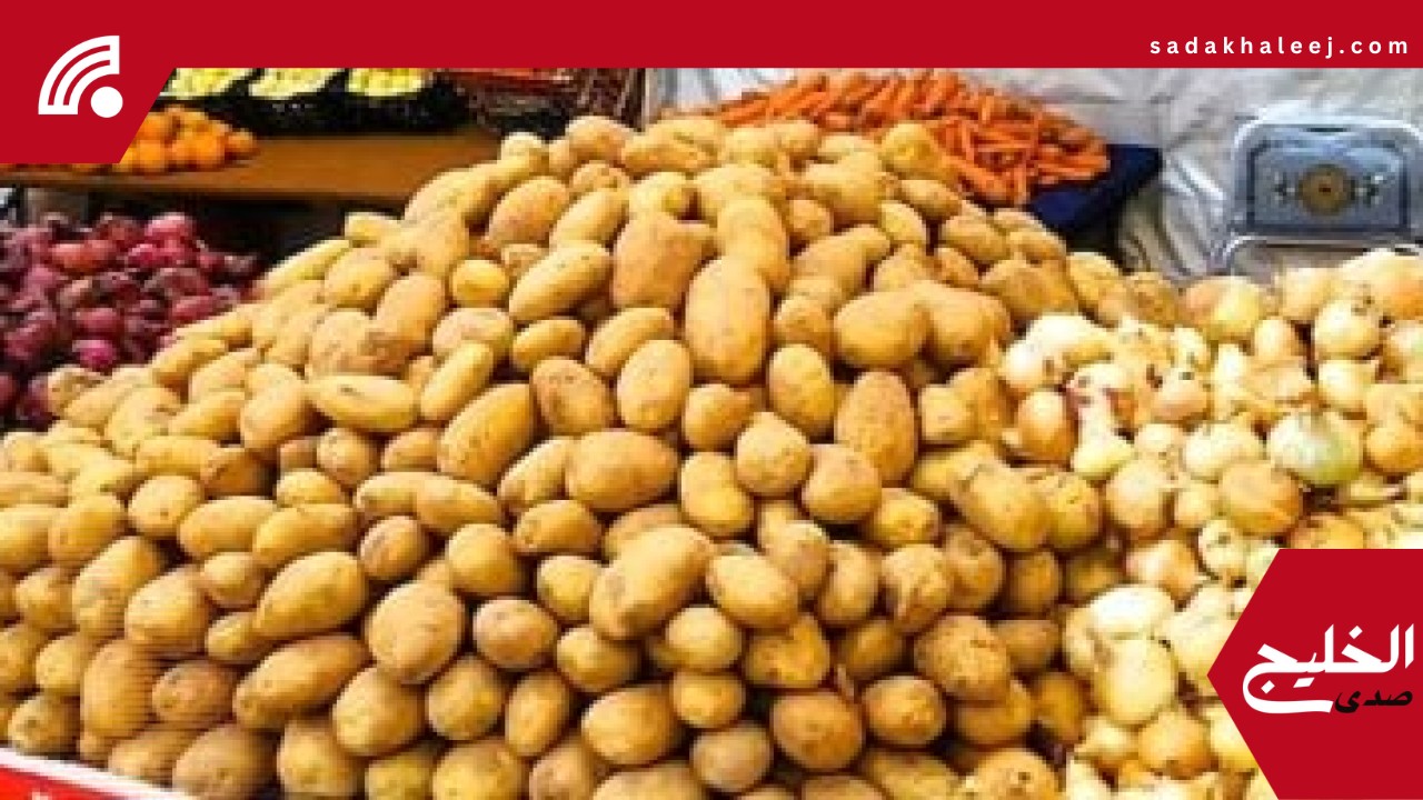 سعر الخضار والفواكه اليوم الاثنين فى المنوفية.. البطاطس بـ 10 جنيهات – صدى الخليج