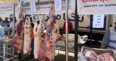 أسعار اللحوم بسوق اليوم الواحد بمدينة نصر ضمن المرحلة الثانية – صدى الخليج
