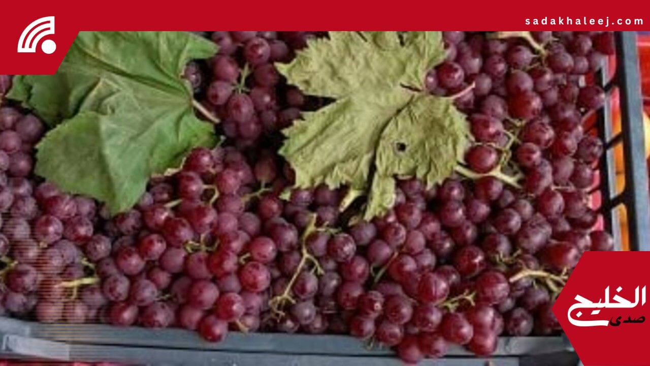 أسعار الخضروات والفاكهة اليوم الثلاثاء 20-5-2025 فى الأقصر.. العنب بـ100 جنيه – صدى الخليج