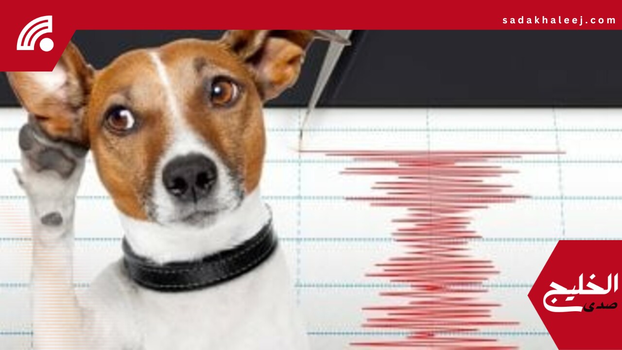 هل تستطيع الأسماك والحيوانات التنبؤ بحدوث زلزال ؟.. اعرف الحقيقة – صدى الخليج
