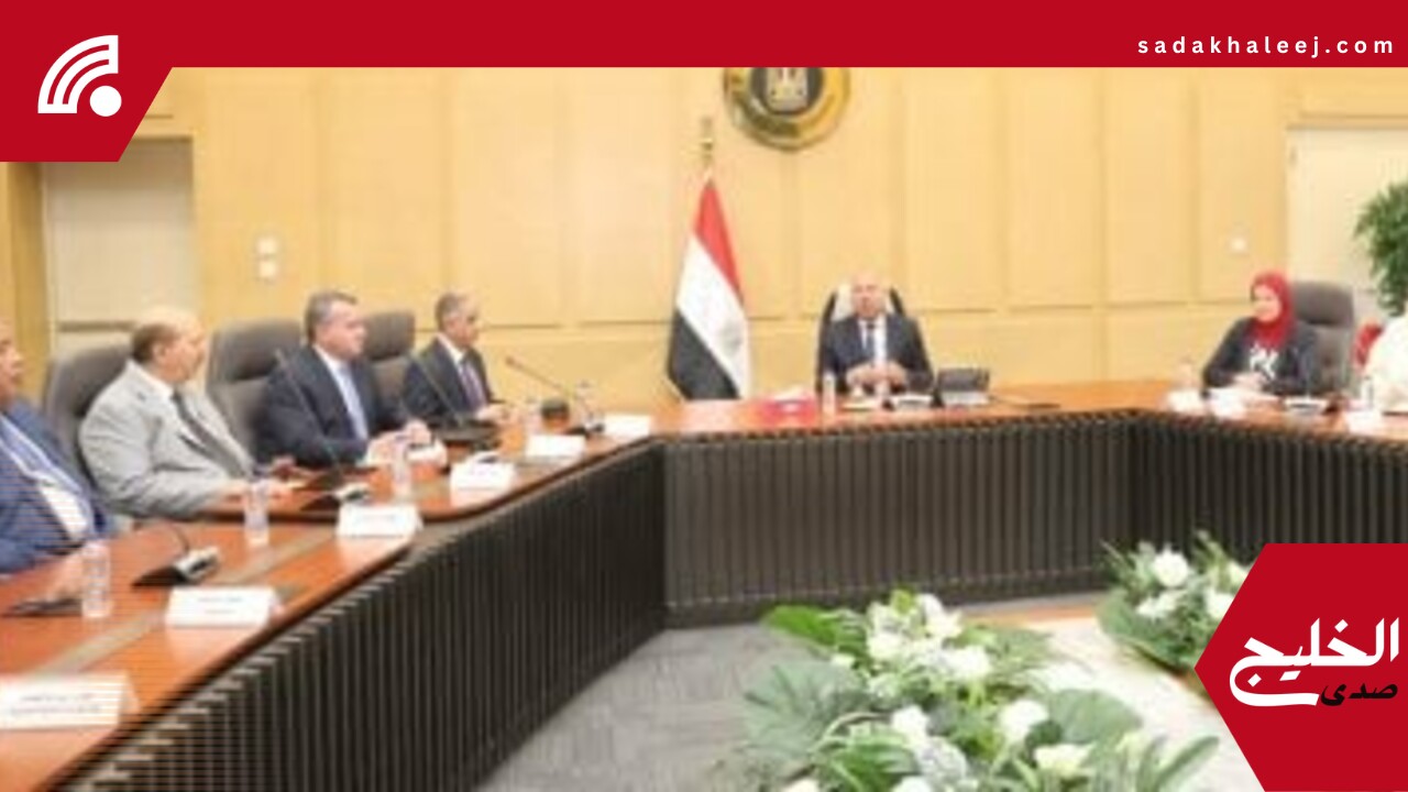وزير الصناعة: طرح رخص بليت وخطة لدعم المصانع الوطنية وتعميق صناعة الحديد – صدى الخليج