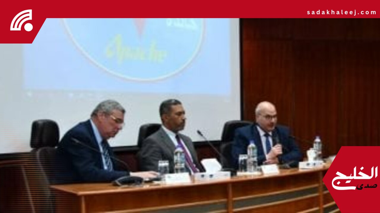 ورشتا عمل لمشروعات التحول الطاقى بالصحراء الغربية والمنطقة البترولية بالإسكندرية – صدى الخليج