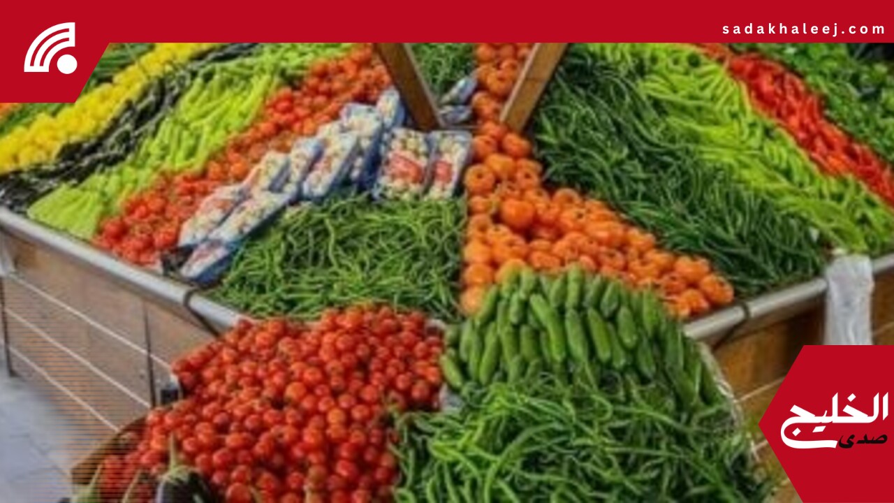 أسعار الخضروات والفاكهة اليوم السبت 24 مايو 2025 فى كفر الشيخ – صدى الخليج
