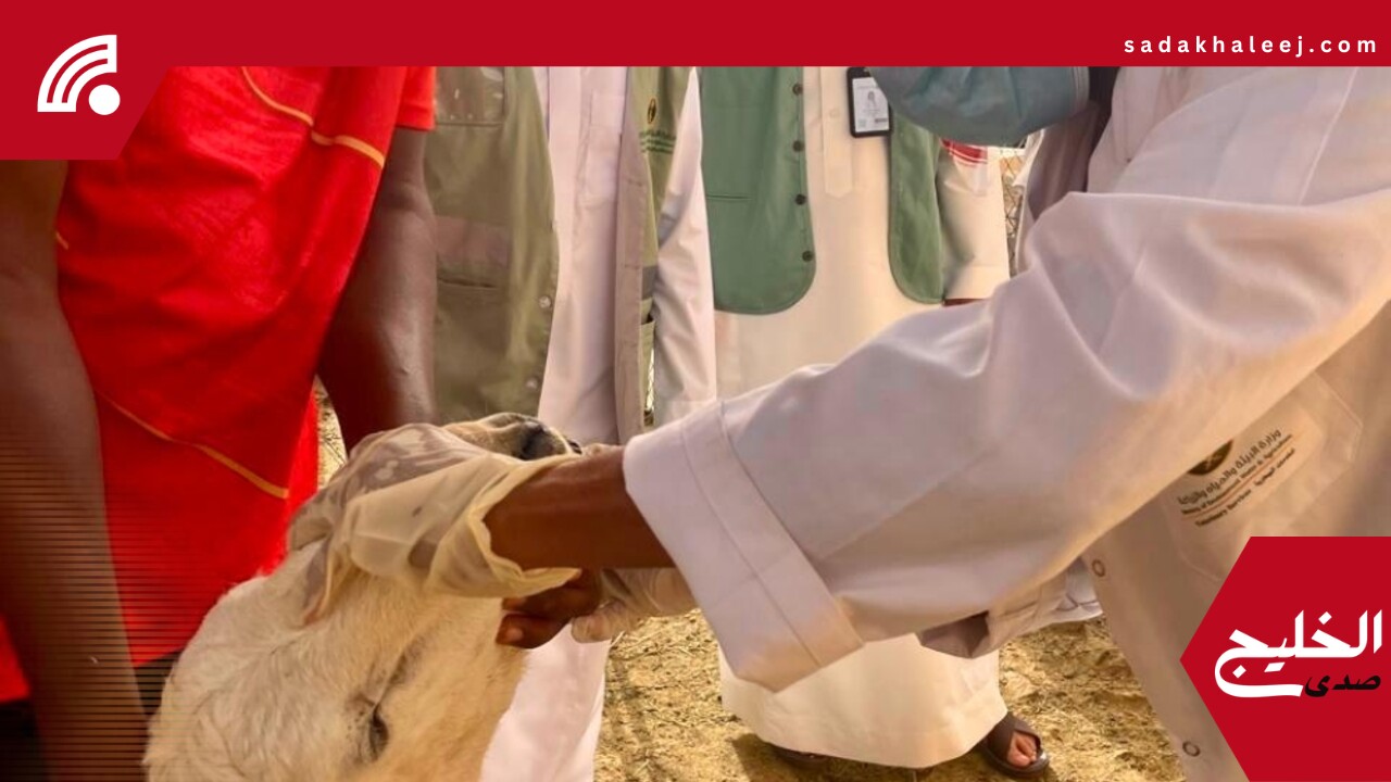 “أضم”.. ورشة للكشف على المواشي وتعزيز جودة اللحوم استعداداً للحج
