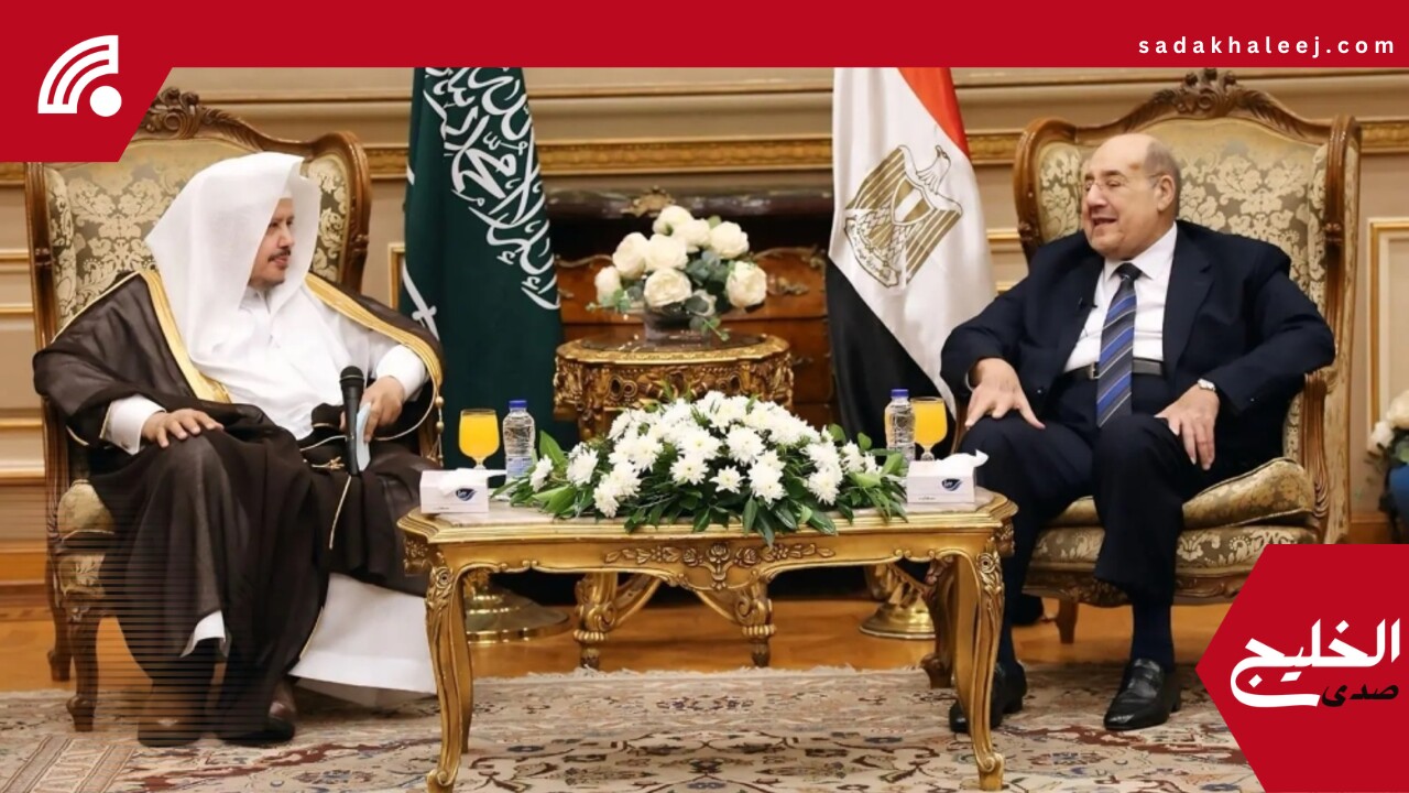 رئيس الشورى يبحث سبل التعاون الثنائي مع رئيس الشيوخ المصري