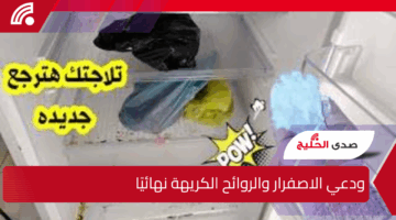 “ودعي الاصفرار والروائح الكريهة نهائيًا”.. أسهل طريقة سحرية لتنظيف الثلاجة في أقل وقت وبأمان دون أي ضرر أو بذل مجهود كبير