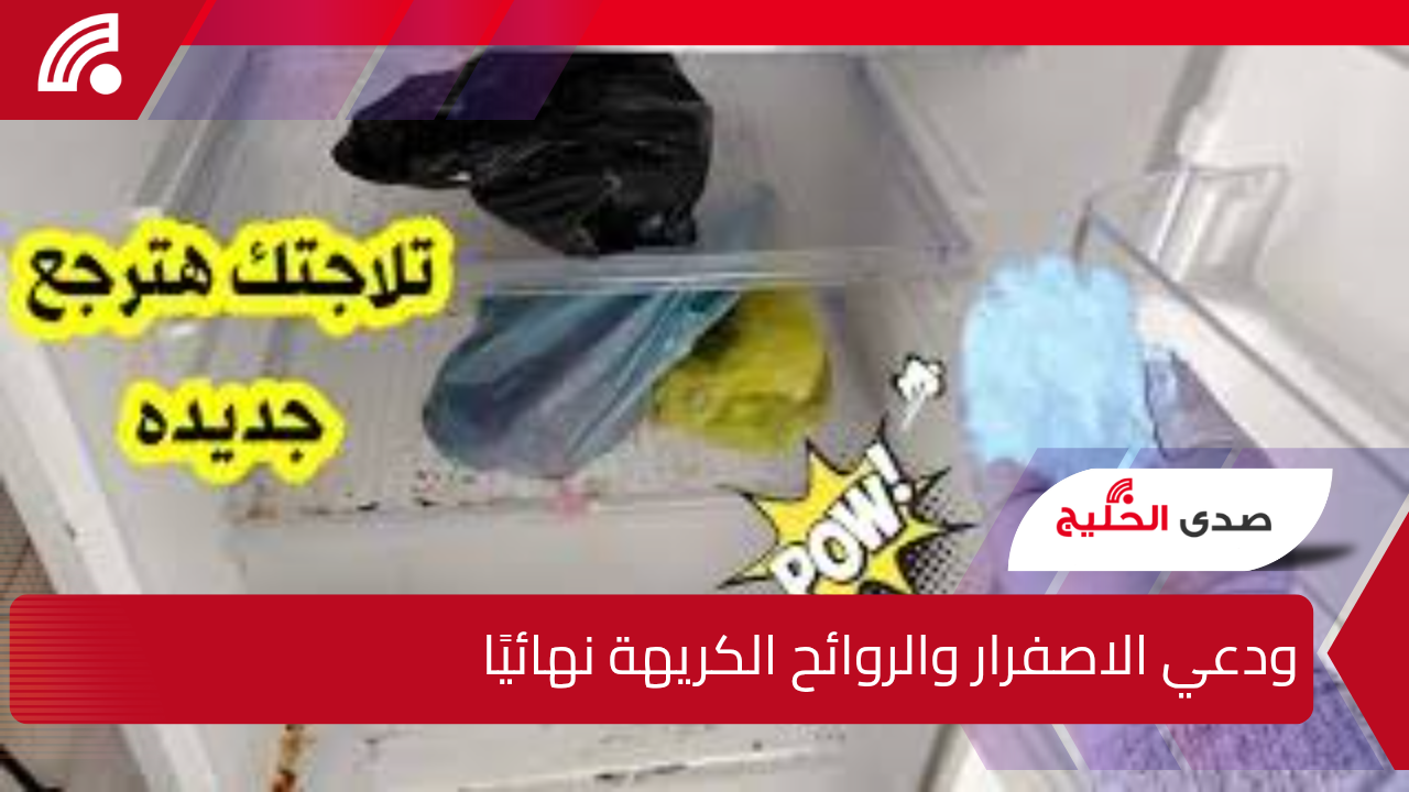 “ودعي الاصفرار والروائح الكريهة نهائيًا”.. أسهل طريقة سحرية لتنظيف الثلاجة في أقل وقت وبأمان دون أي ضرر أو بذل مجهود كبير