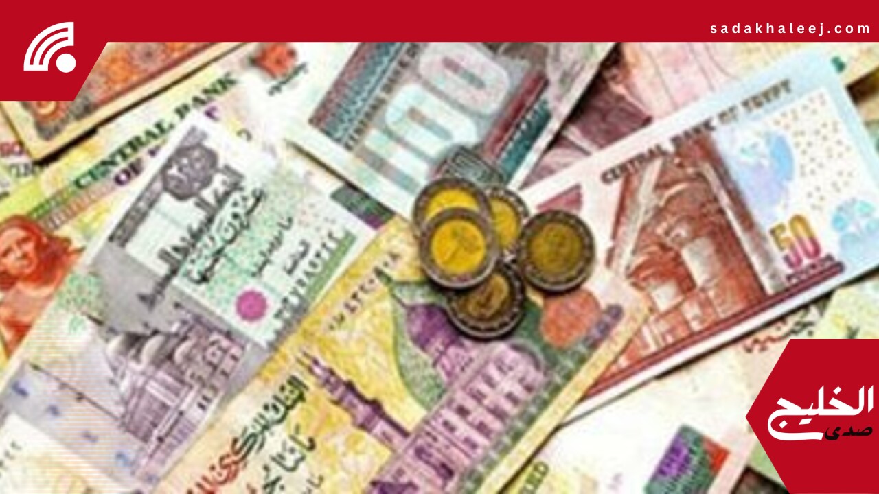 هل تخلى المستخدمون جزئيًا عن الكاش؟.. مؤشرات المحافظ الإلكترونية تجيب – صدى الخليج