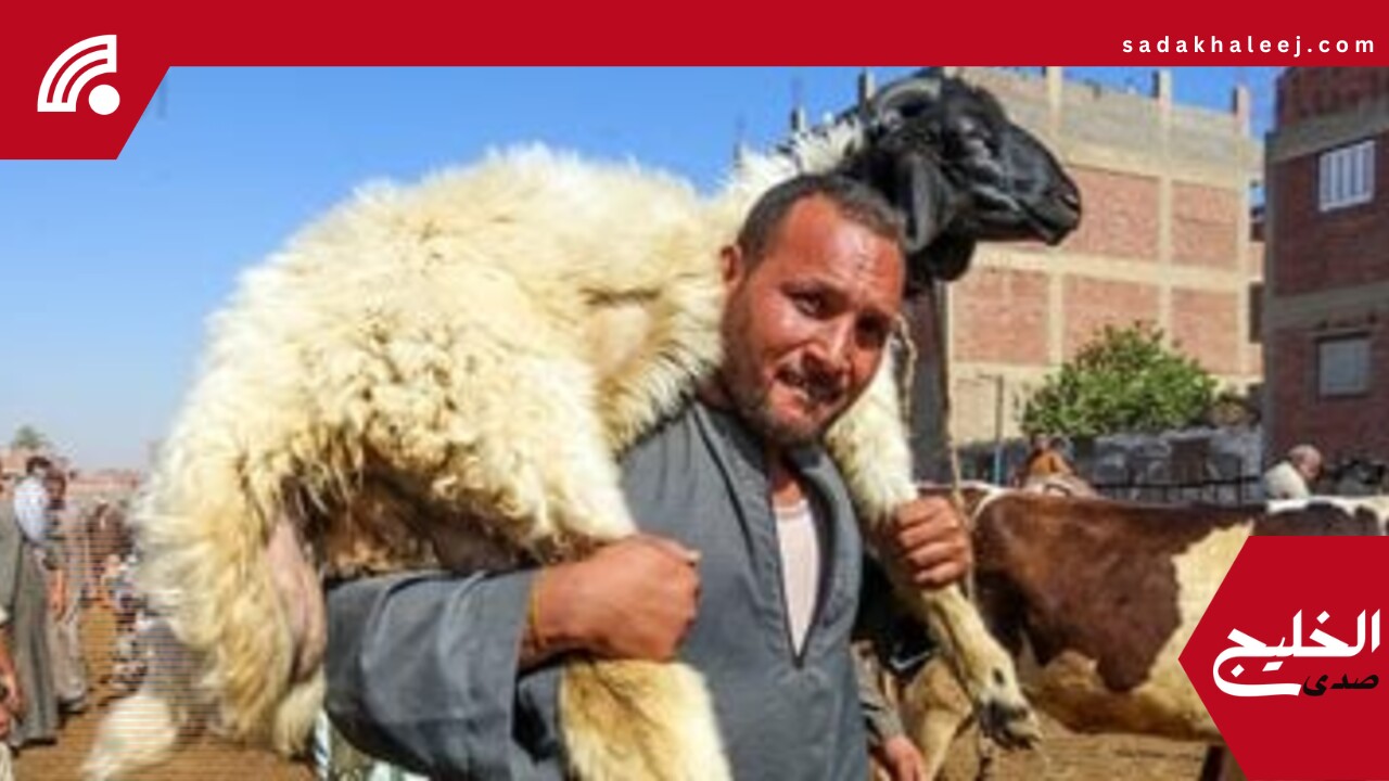 نشرة المنوعات.. أفكار للاستفادة من جلود الأضاحى وزيمبابوى تأكل الأفيال – صدى الخليج