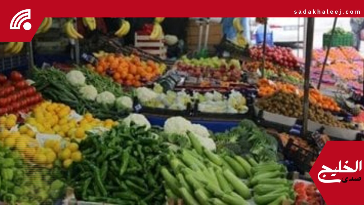 أسعار الخضروات اليوم الأربعاء 4-6-2025 بمحافظة مطروح.. البطاطس 8 جنيهات – صدى الخليج
