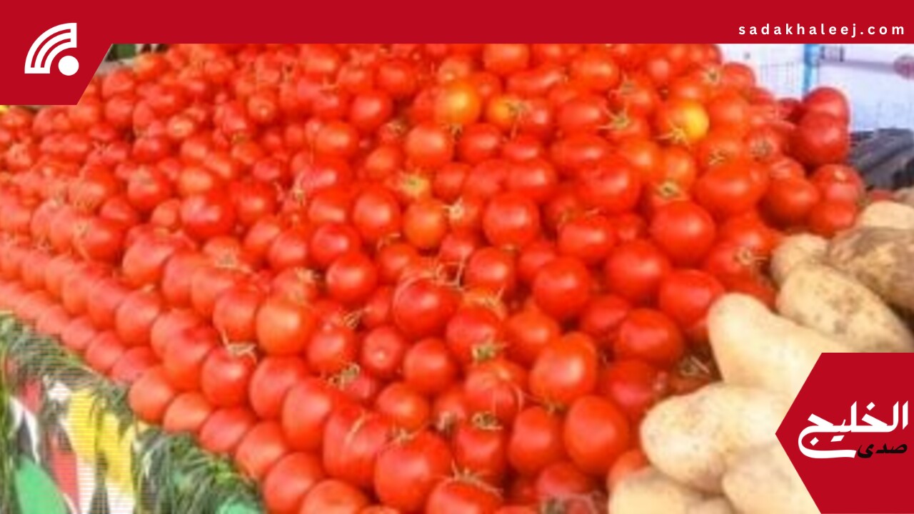 سعر الخضروات اليوم الإثنين 2-6-2025 بالإسكندرية.. كيلو الطماطم بـ12,5 جنيه –  صدى الخليج
