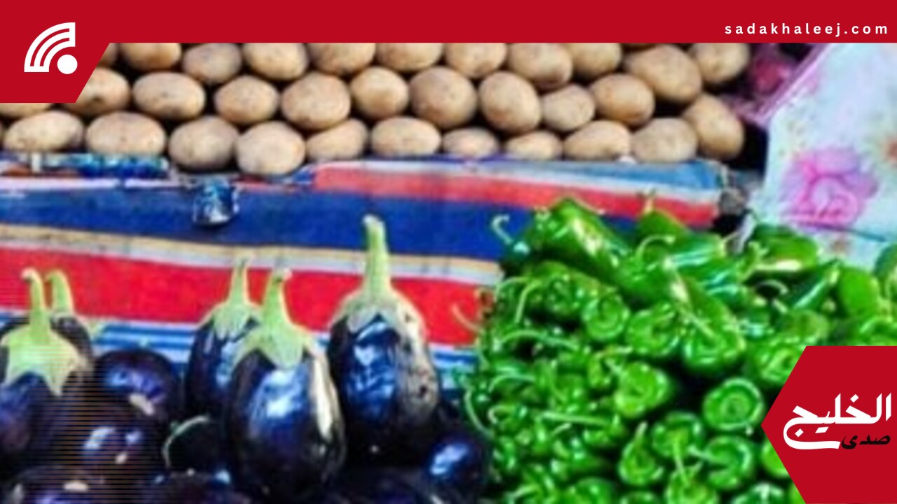 أسعار الخضروات والفاكهة بمنافذ الوحدات المحلية وأسواق الوادى الجديد – صدى الخليج