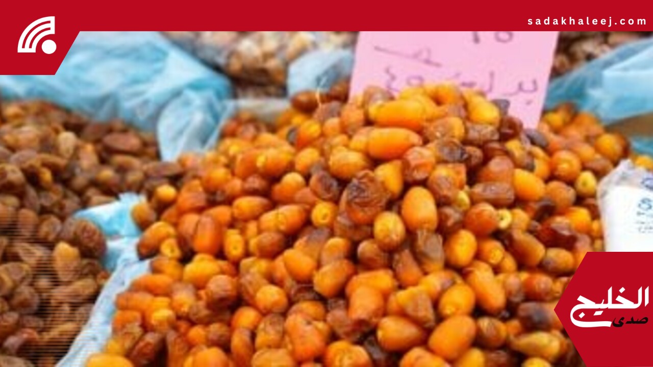 أسعار البلح السيوى والأنواع الأخرى بأسواق مطروح اليوم الأربعاء 4-6-2025 – صدى الخليج
