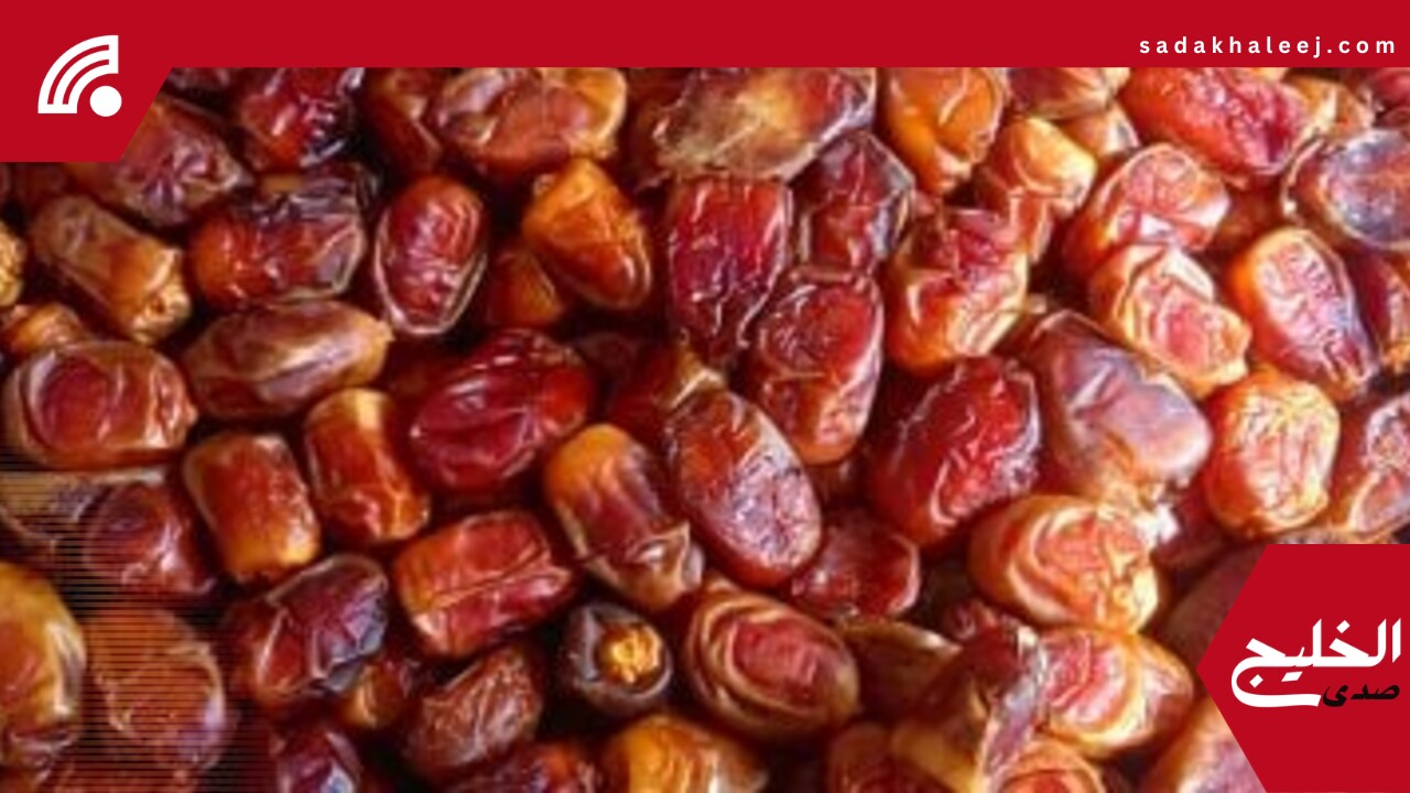 أسعار البلح السيوى وأنواع أخرى اليوم الاثنين 2-6-2025 بأسواق مطروح –  صدى الخليج