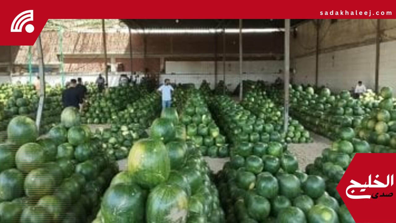أسعار الفاكهة اليوم الأربعاء 4-6-2025 بأسواق محافظة مطروح.. البطيخ بـ10 جنيهات – صدى الخليج
