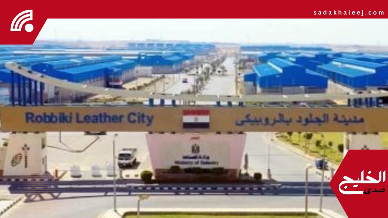 المجلس التصديري للجلود: إنتاج العيد يعادل إنتاج عام كامل ويجب استغلاله – صدى الخليج