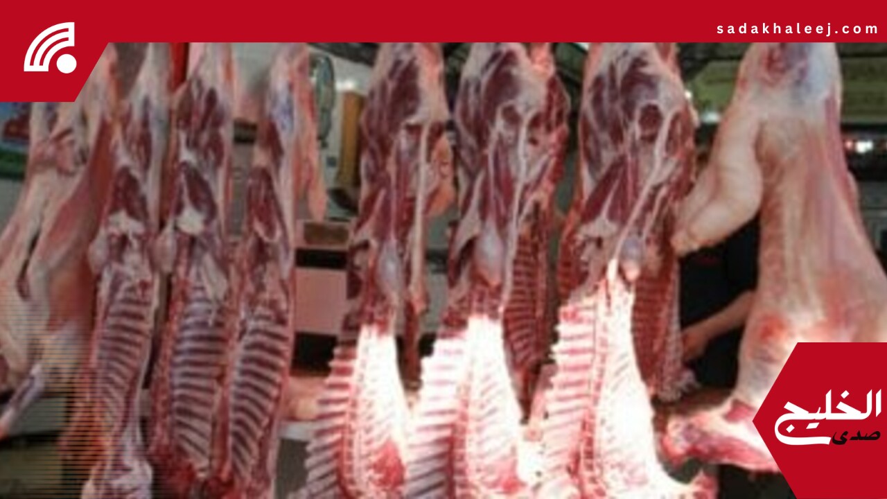 أسعار اللحوم اليوم الثلاثاء 3-6-2025 بأسواق محافظة البحيرة – صدى الخليج