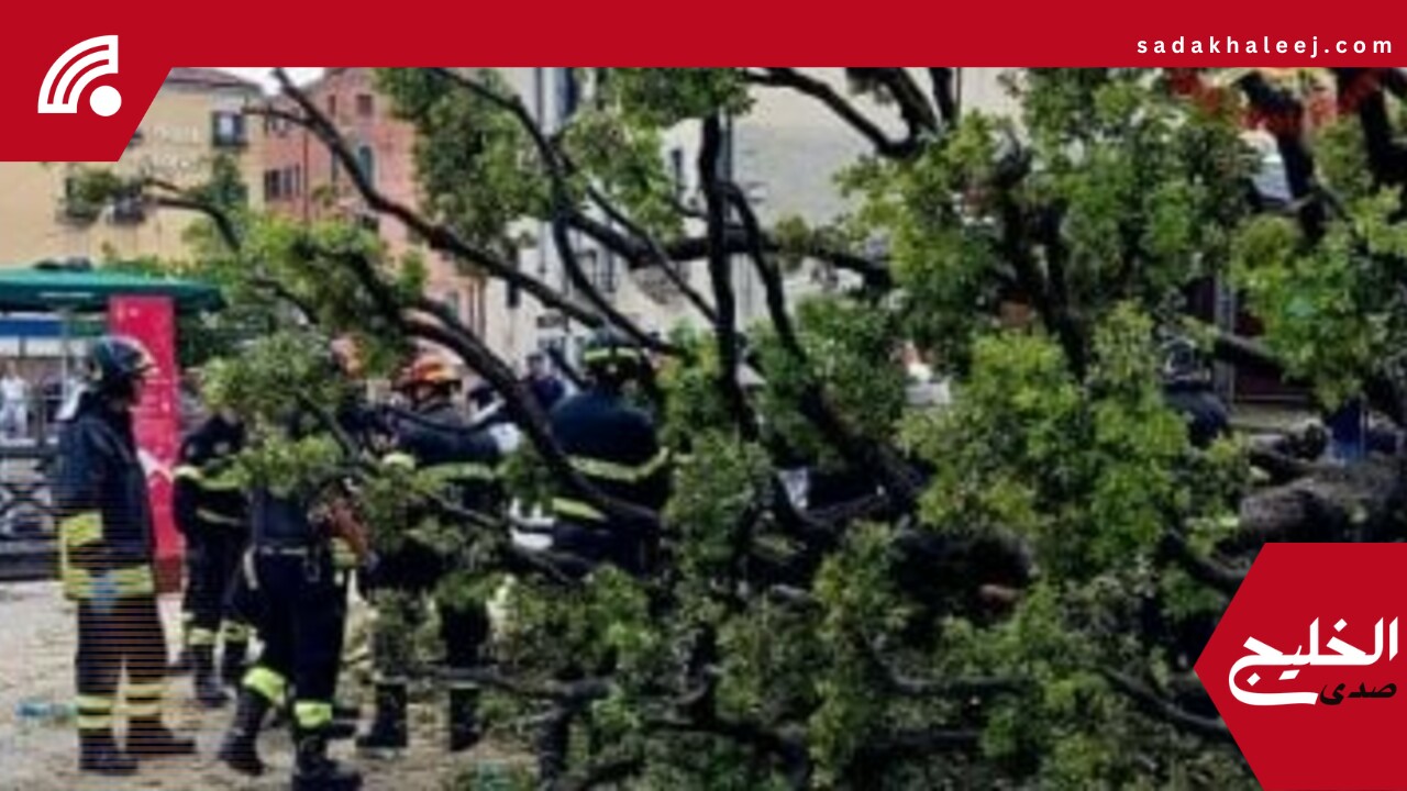 إصابة 12 شخصا بينهم سياح فى البندقية إثر سقوط شجرة بلوط “صور” – صدى الخليج