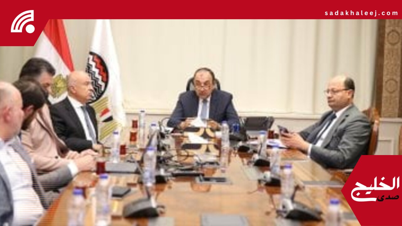 وزير قطاع الأعمال يلتقي وفدًا من “باور إنترناشيونال القابضة” لبحث فرص التعاون – صدى الخليج