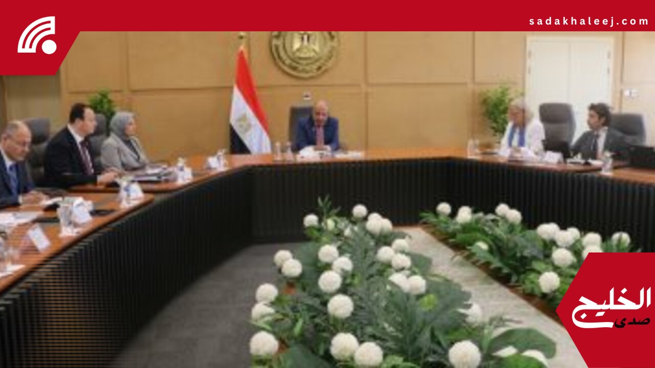 وزير الكهرباء يبحث مع وفد المفوضية الأوروبية سبل التعاون في مجالات الطاقة المتجددة – صدى الخليج